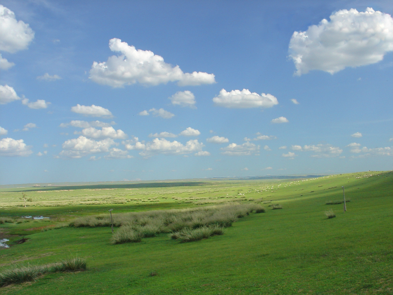 Taksi iç mekan